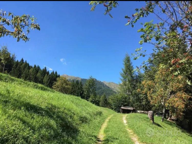 Baita Palue Torcegno Buitenkant foto