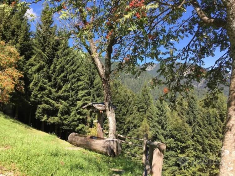 Baita Palue Torcegno Buitenkant foto